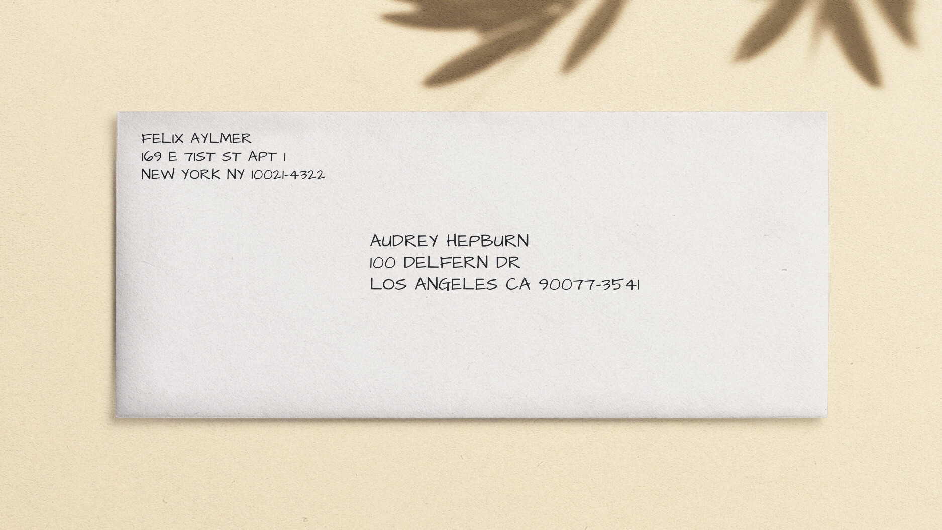 mailing envelope address