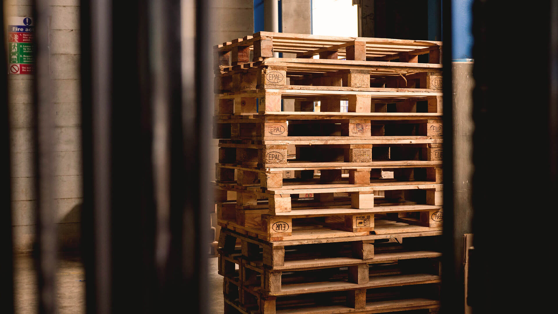 Plastic Pallets 101: Everything you should know